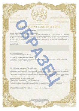 Образец Сертификат СТО 01.064.00220722.2-2020 Богородск Сертификат СТО 01.064.00220722.2-2020 